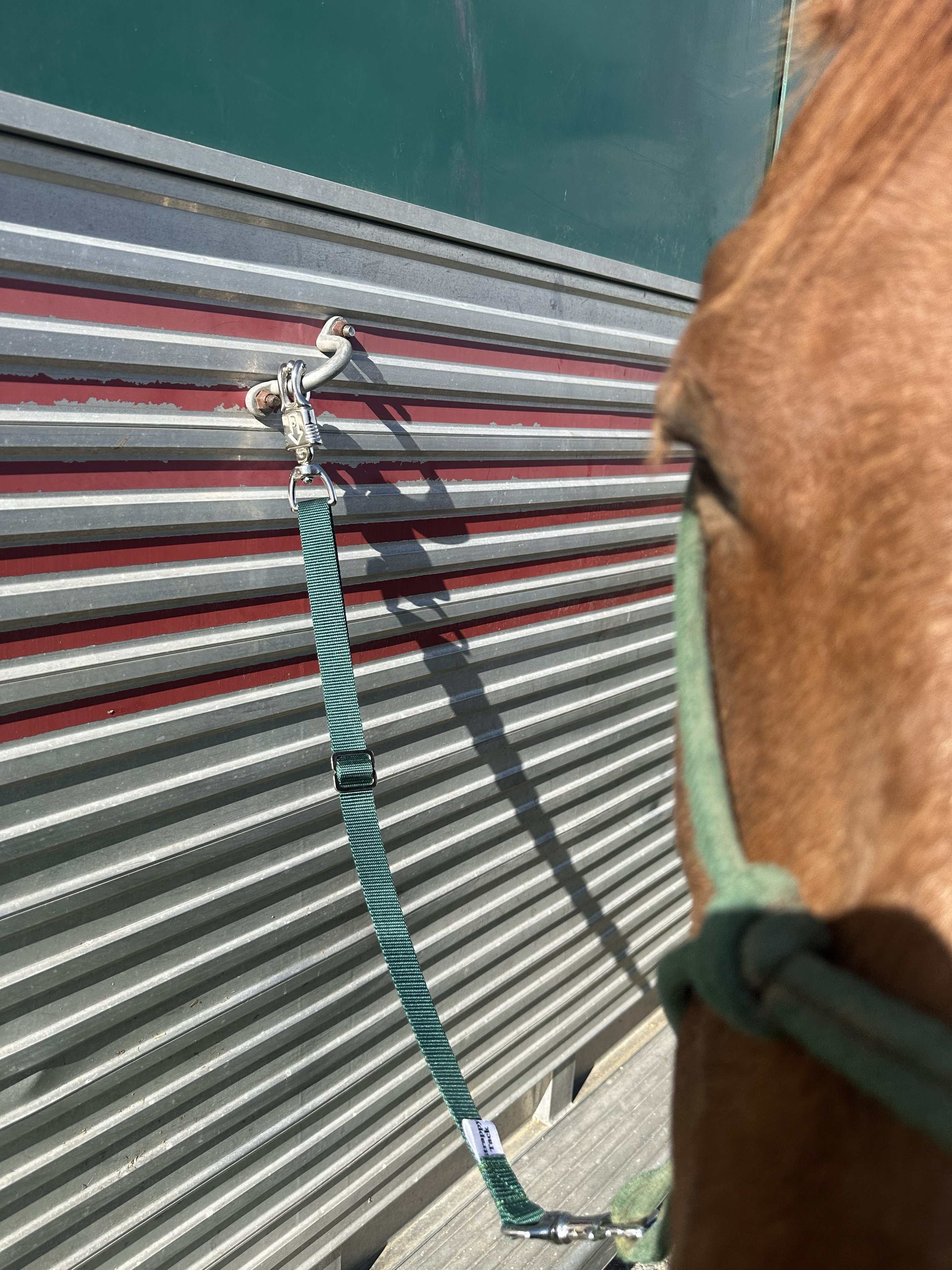 Trailer Tie